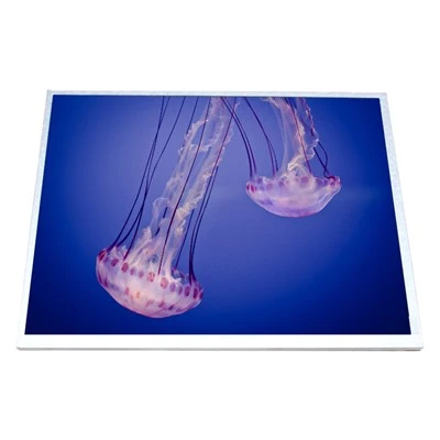 HSD100IXN1-A10 LCD-scherm Weergavepaneel 10,0-inch LCD-scherm