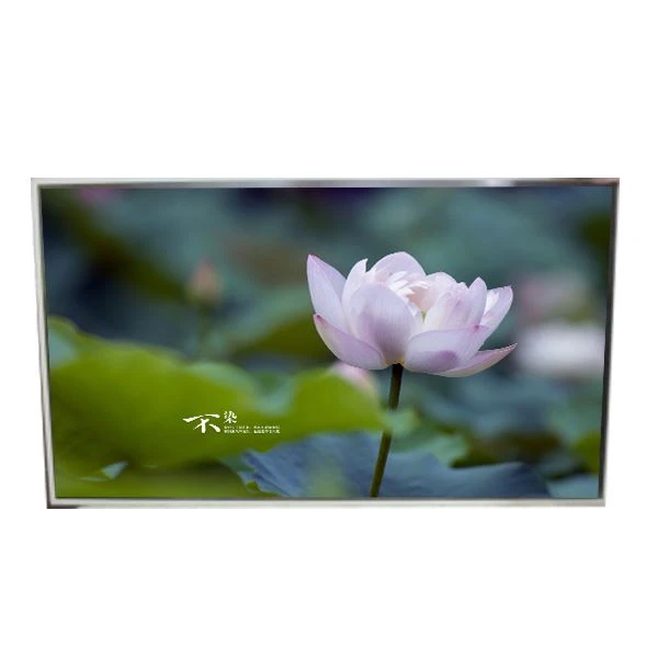 49. 0 inch ld490eqe-fpa1 tft lcd-scherm