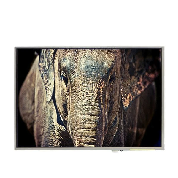 LTD121EWPK 1280*800 12.1 inch TFT-LCD-scherm voor laptop 60 Hz