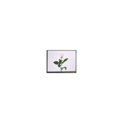 Heet verkoop M057GWV3 R0 5.7 Inch 640*480 Industrieel TFT-LCD-scherm