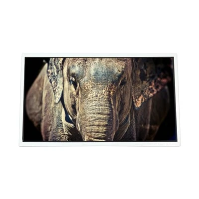 MV315QHM-NF 0 32. 0 inch 2560*1440 LCD Display voor desktopmonitor