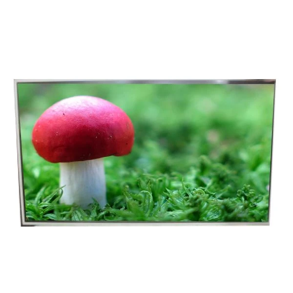 Levering ld49 0 dun-tjb 2 49. 0 inch lcd display scherm