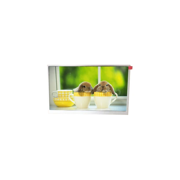 TM090RDSG06 9.0 Inch 800*480 TFT-LCD-scherm voor industrieel gebruik